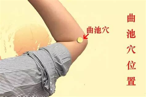 曲尺穴位置|曲池(曲池穴):腧穴釋義,腧穴定位,簡便定位,解剖定位,功能主治,功。